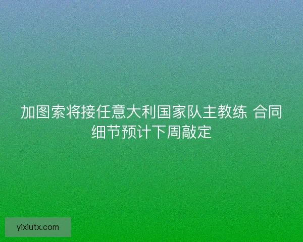 加图索将接任意大利国家队主教练 合同细节预计下周敲定