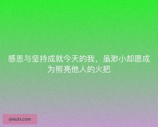 感恩与坚持成就今天的我，虽渺小却愿成为照亮他人的火把